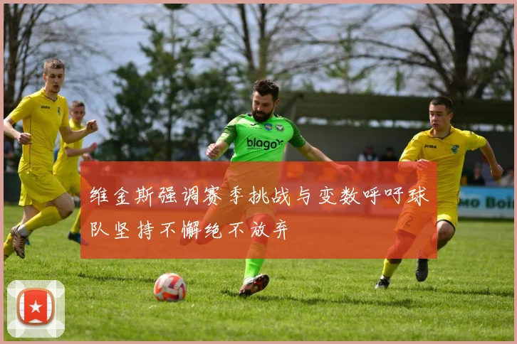 维金斯强调赛季挑战与变数呼吁球队坚持不懈绝不放弃
