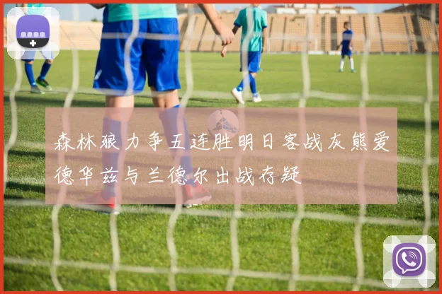 森林狼力争五连胜明日客战灰熊爱德华兹与兰德尔出战存疑